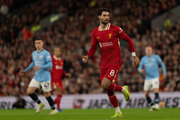 专业人士中 专业人士中