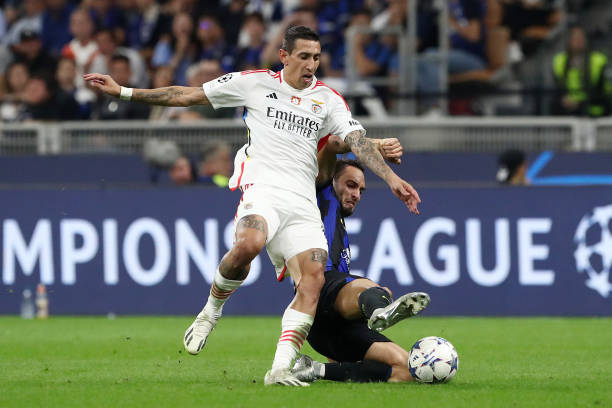 引进德克兰 引进德克兰